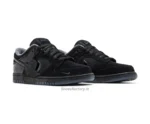 Nike SB Dunk Low Duck of the Feather Black University - Nike first copy shoes