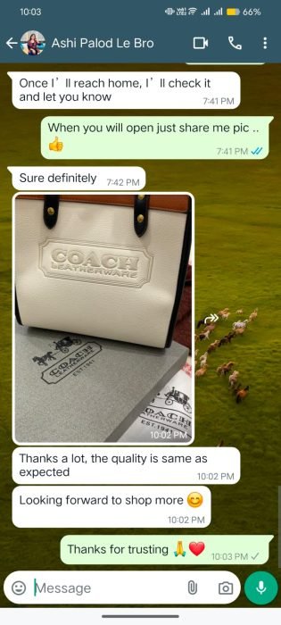 Customer Review